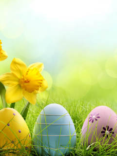 daffodils, flowers, spring, grass, пасха, eggs, meadow, весна, easter, sunshine, луг