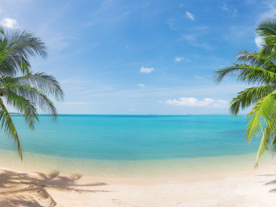 landscape, coconut palm trees, sky, nature, beautiful, panorama, clouds, sand, sea, tropical beach