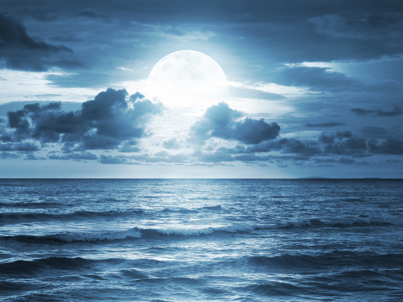 midnight, sea, beautiful nature, landscape, moonlight, sky, ocean, full moon, dramatic scene