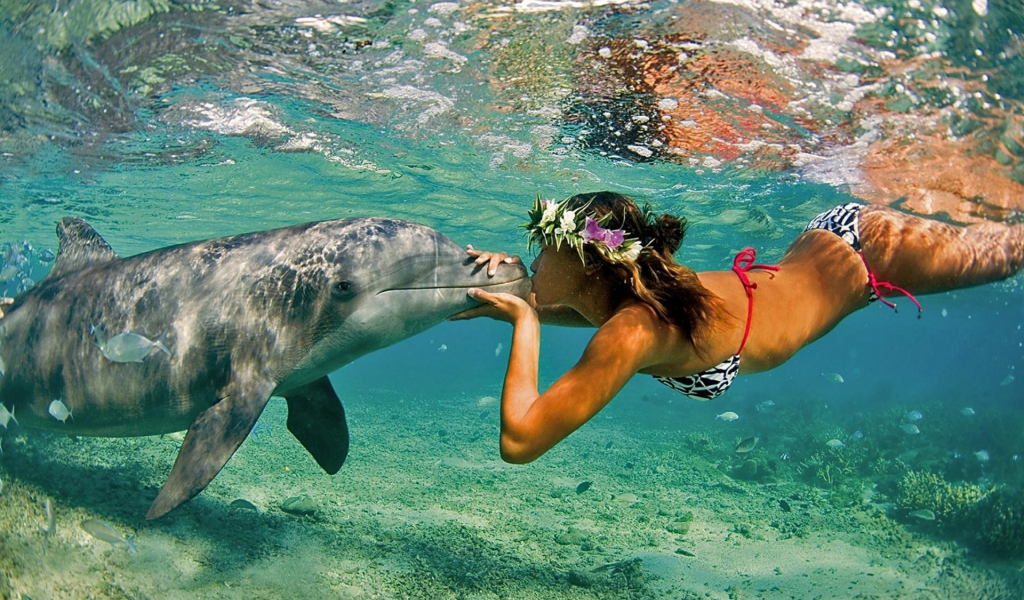 дельфин, девушка, вода