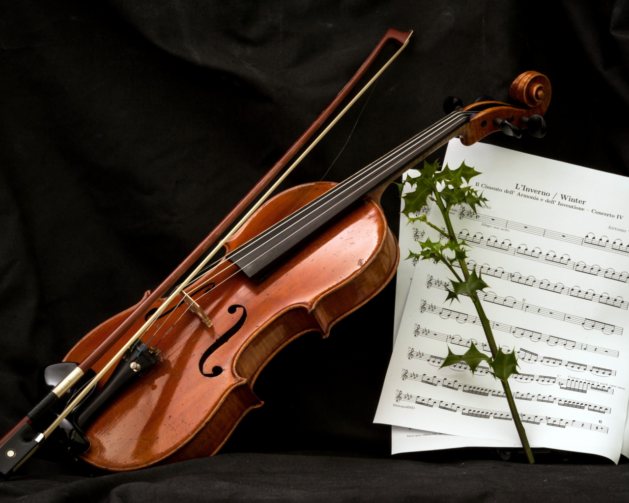 музыка, скрипка, ноты