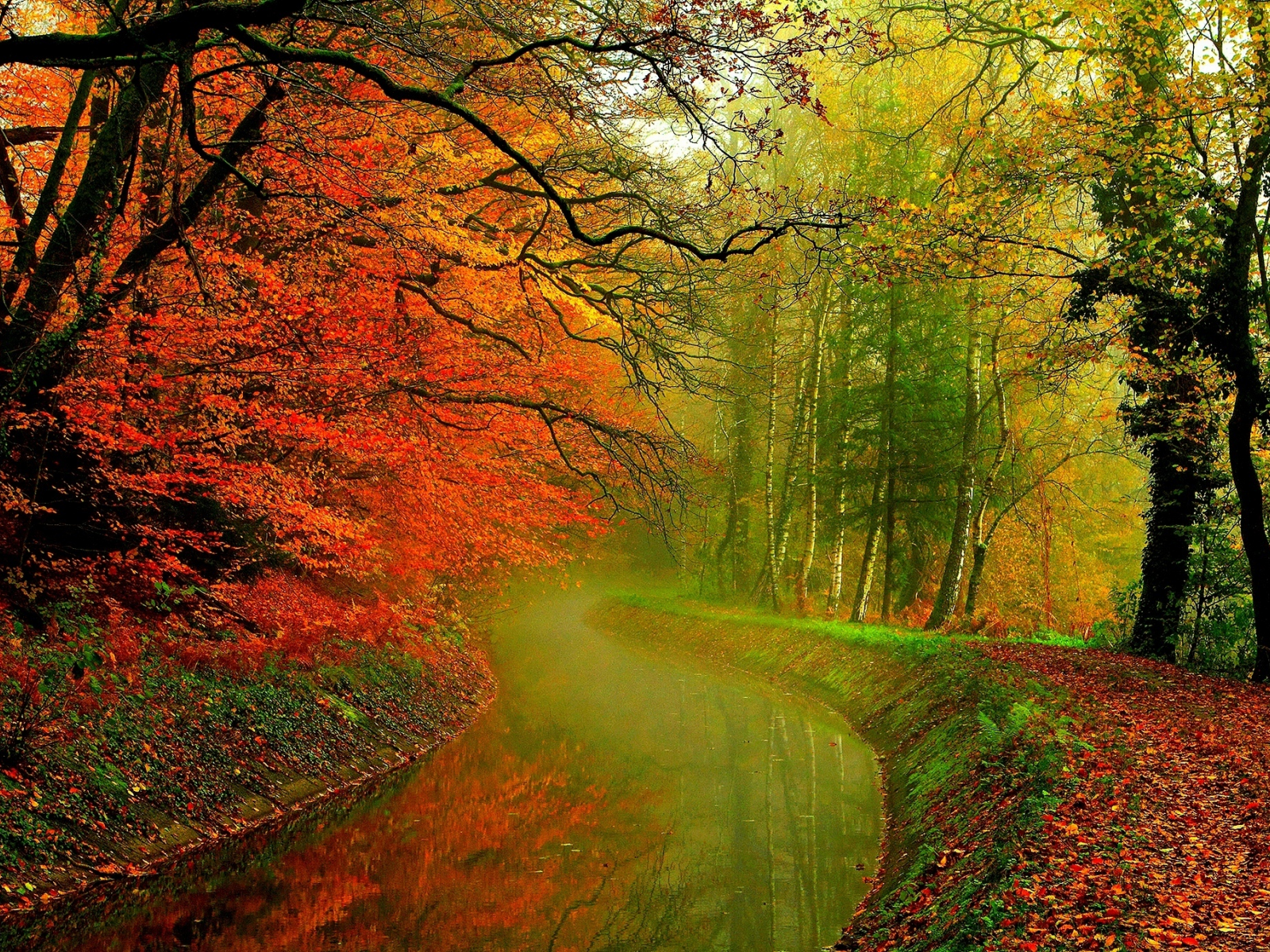 hdr, деревья, river, leaves, autumn, water, листья, trees, forest, walk, nature