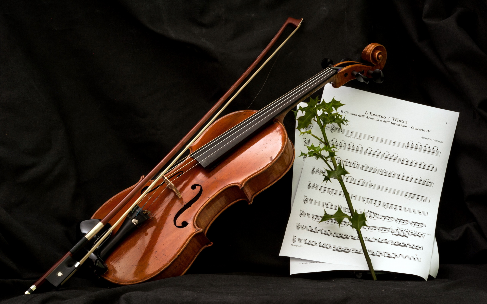 музыка, скрипка, ноты