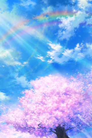 радуга, сакура, tsujiki, небо, природа, облака, арт