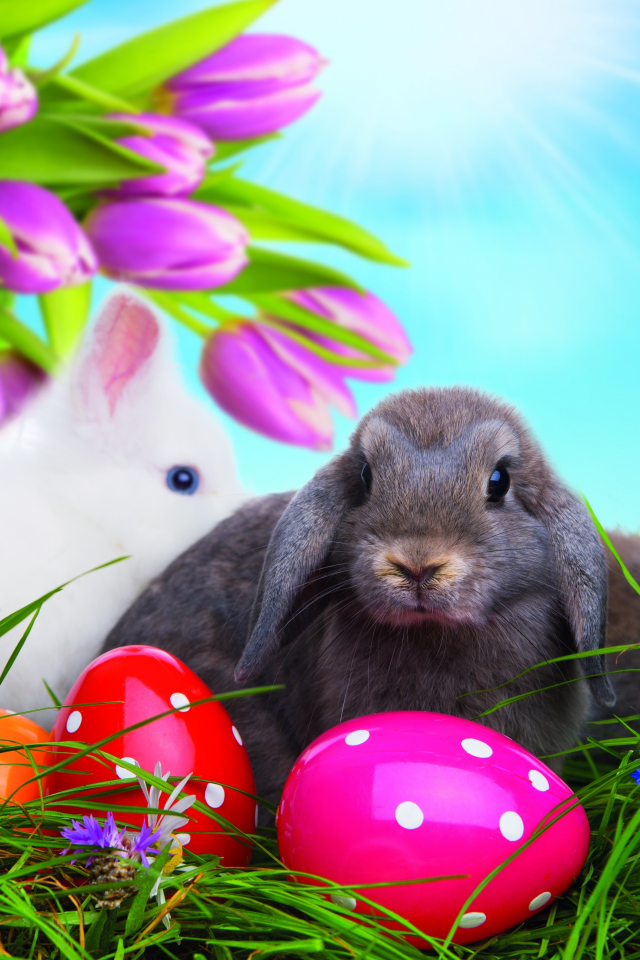 happy easter, пасха, пасхальные яйца, easter, яйца