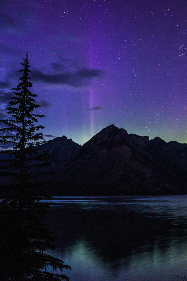 озеро, лес, beautiful, night, гора, ночь, banff national park, canada, alberta