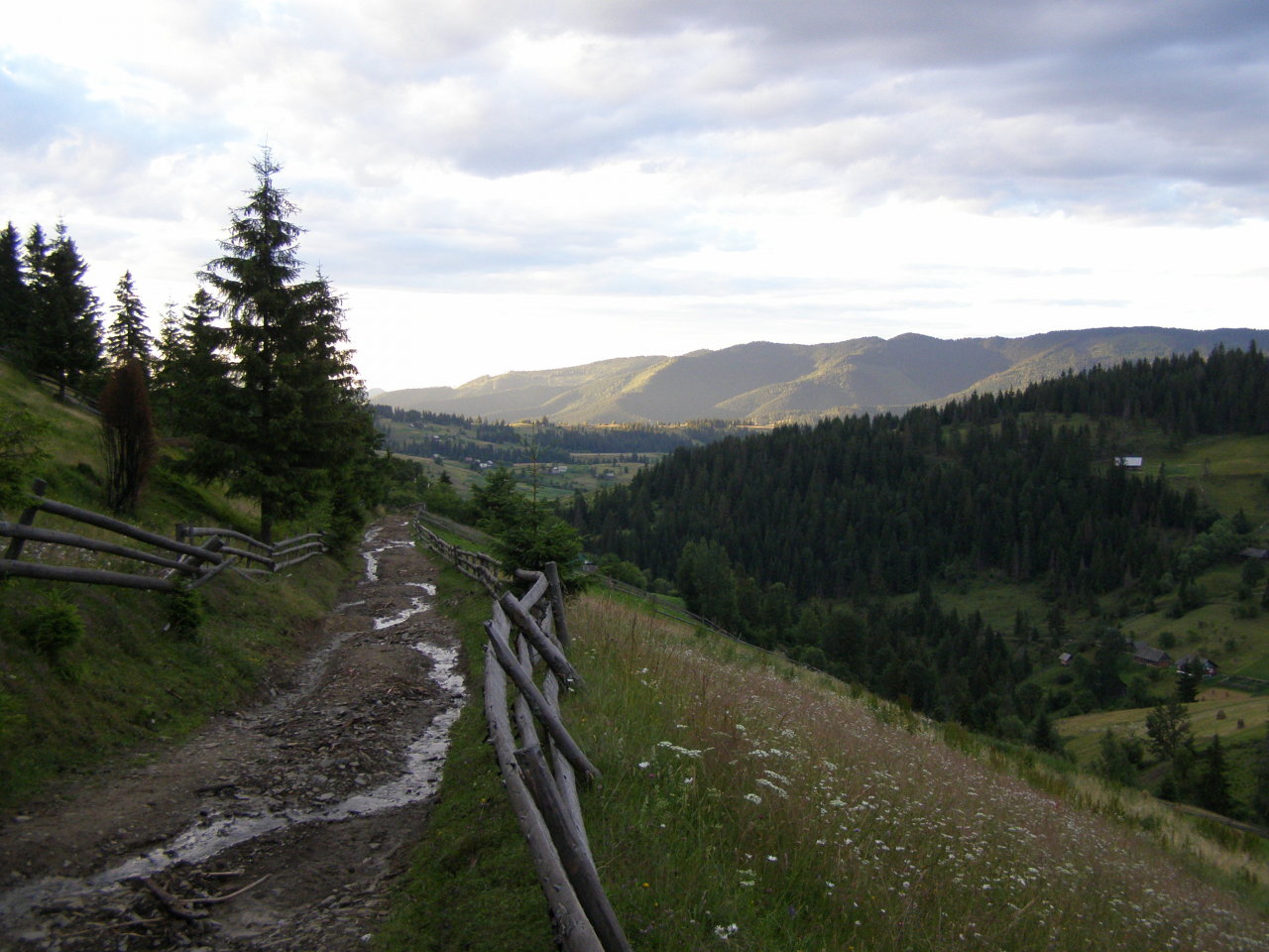 село, горы, лес, луг, облака, дорога, забор, ели