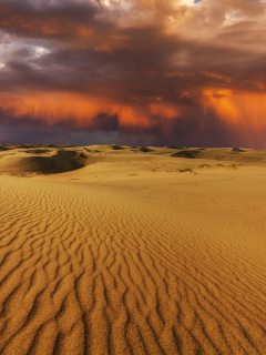 природа, небо, облака, песок, пустыня, дождь, гроза