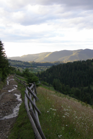 село, горы, лес, луг, облака, дорога, забор, ели