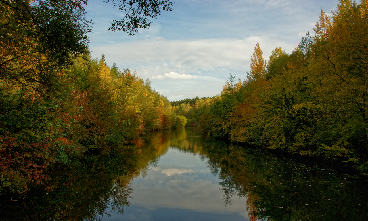 осень, река, листья, красота, вода, свежесть, красота