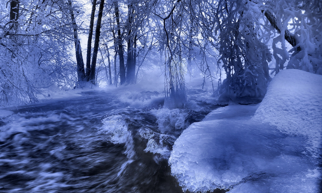 зима, лес, река, лед