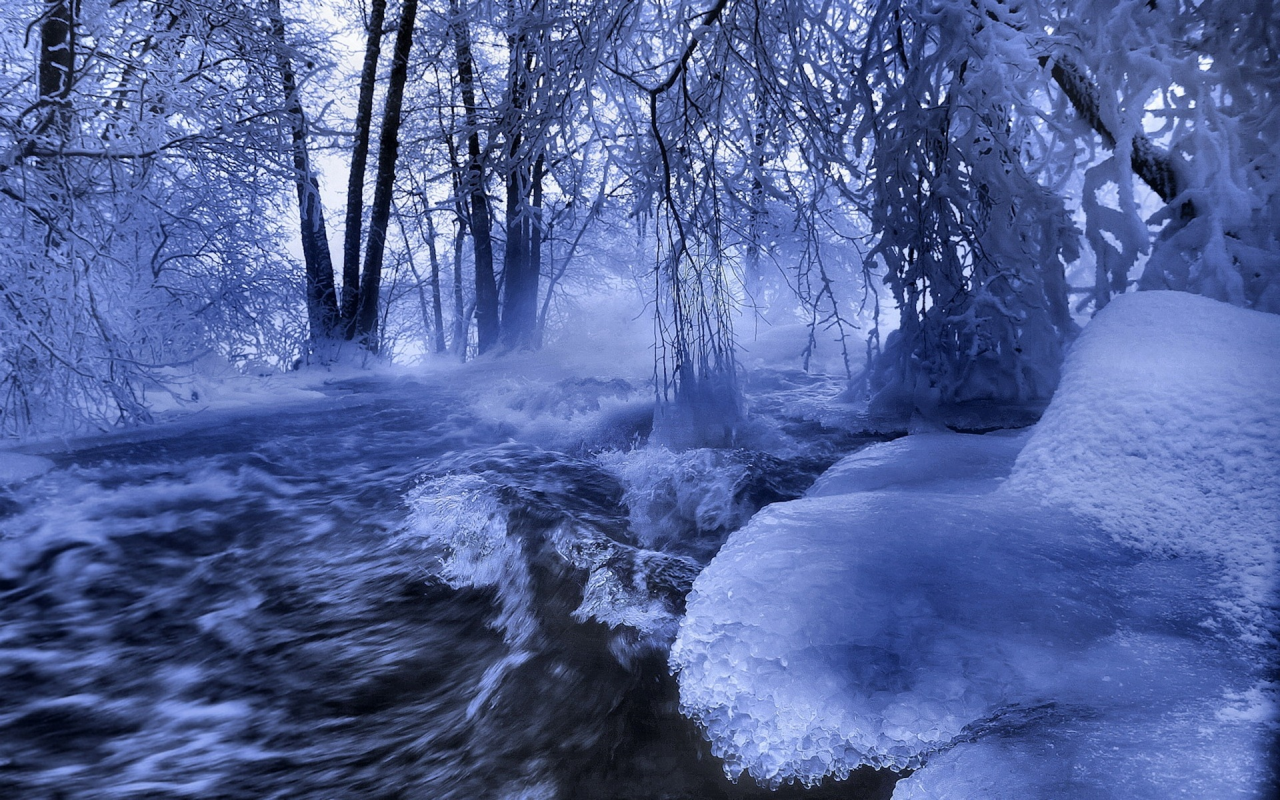 зима, лес, река, лед