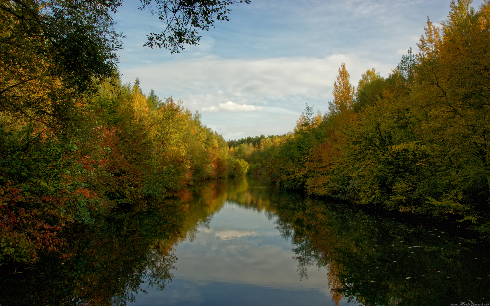 осень, река, листья, красота, вода, свежесть, красота