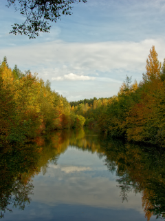осень, река, листья, красота, вода, свежесть, красота