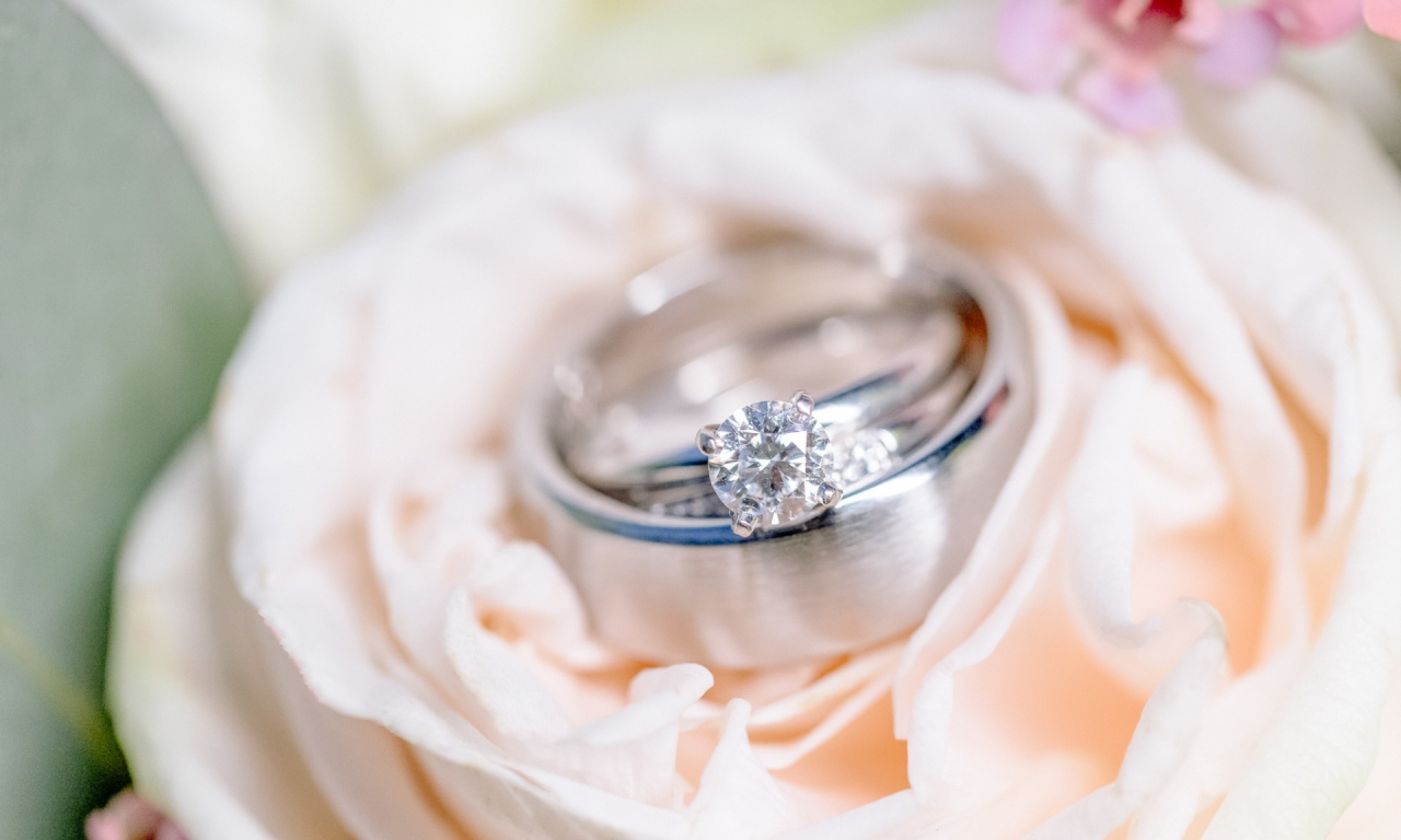 кольца, свадьба, цветок, помолвка