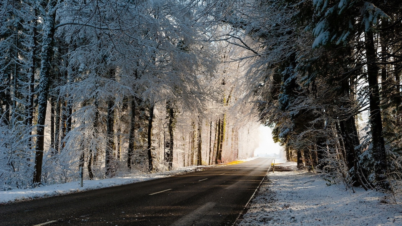 природа, зима, дорога, лес