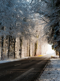 природа, зима, дорога, лес