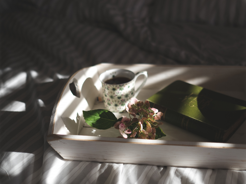 поднос, книга, чашка, цветок, постель, утро