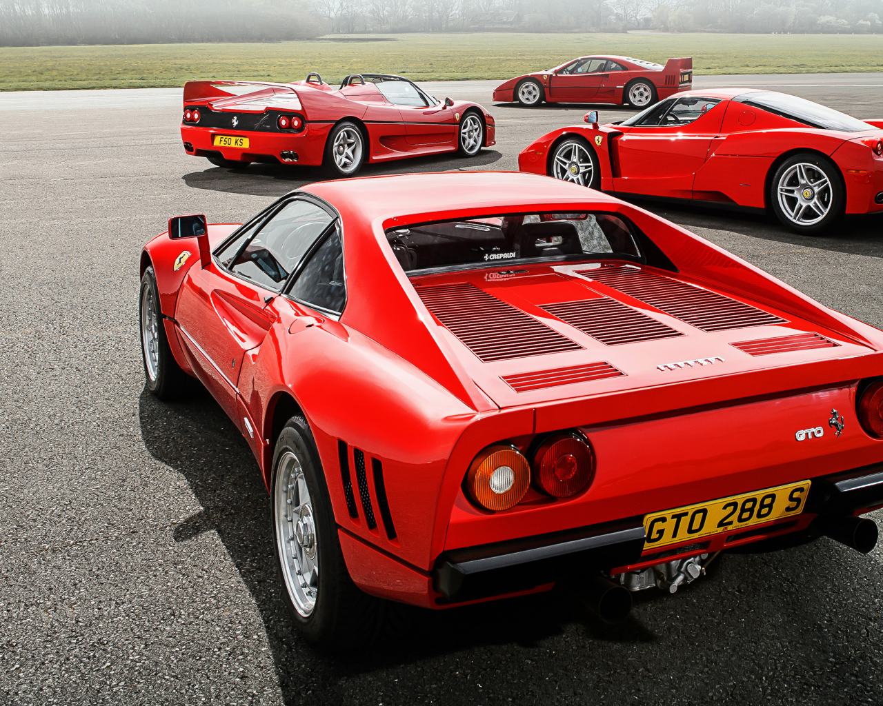 ferrari, 288, gto, f40, f50, enzo