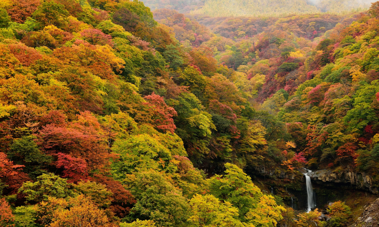 лес, осень, деревья, водопад, ручей, камни