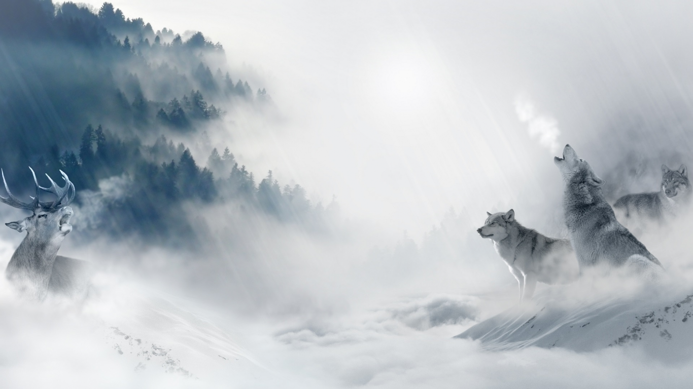 олень, зима, волки