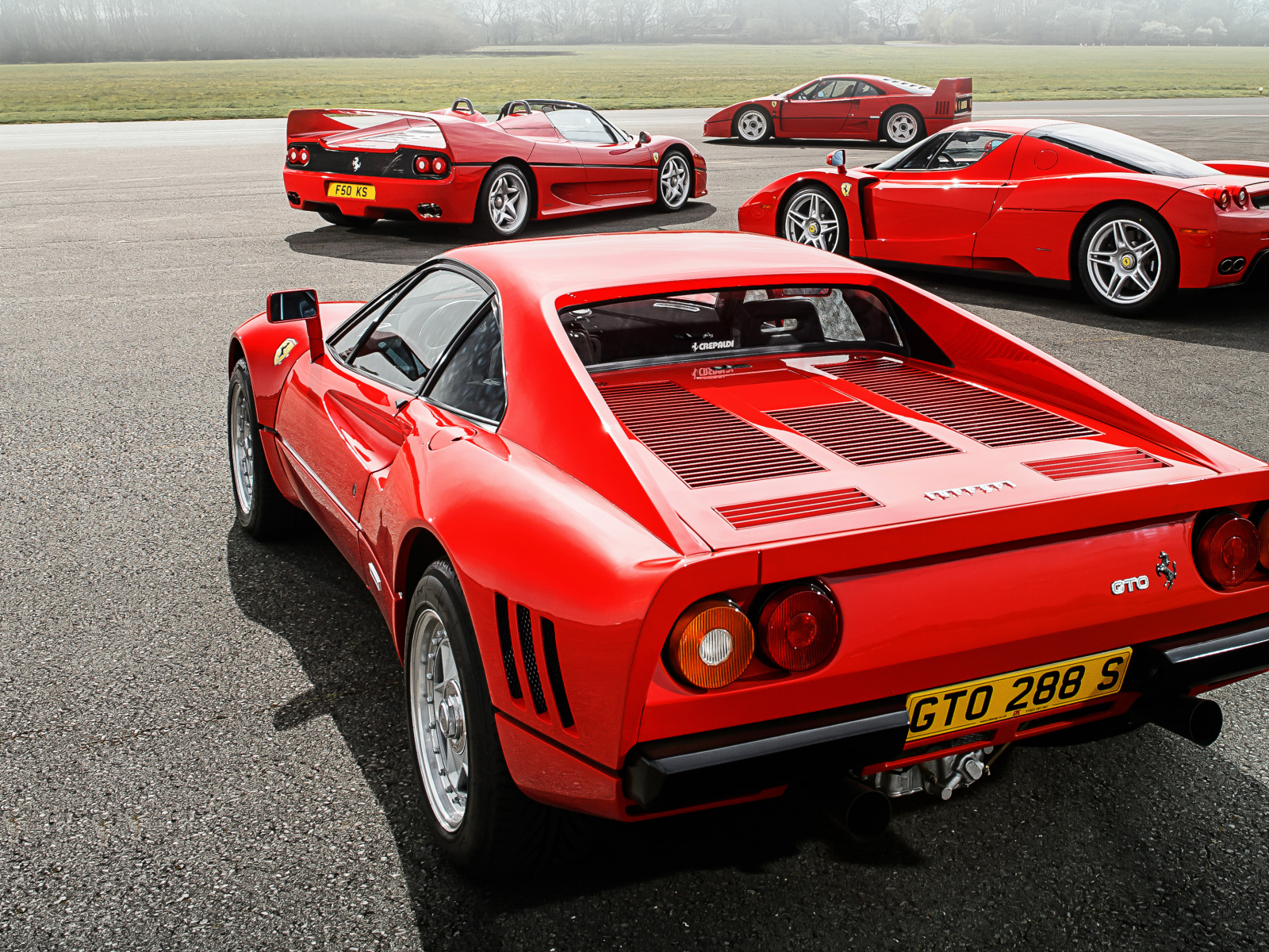 ferrari, 288, gto, f40, f50, enzo