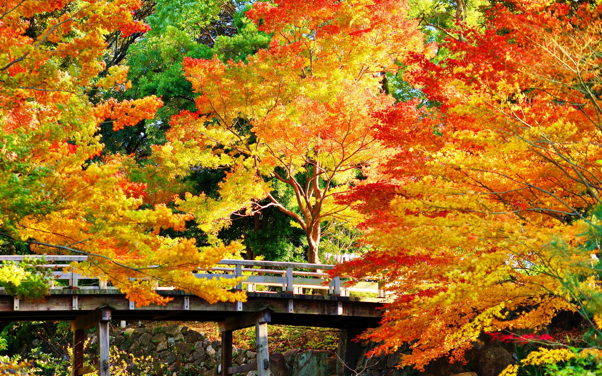 осень, парк, мост, деревья, листья, камни, красота