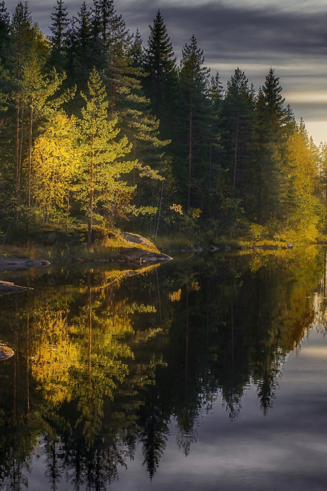 речка, солнце, лес