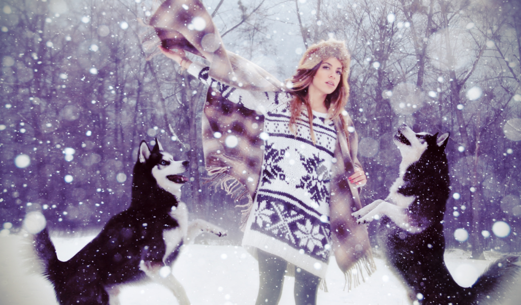 девушка, снег, собаки, свитер, лес, лайки, шапка