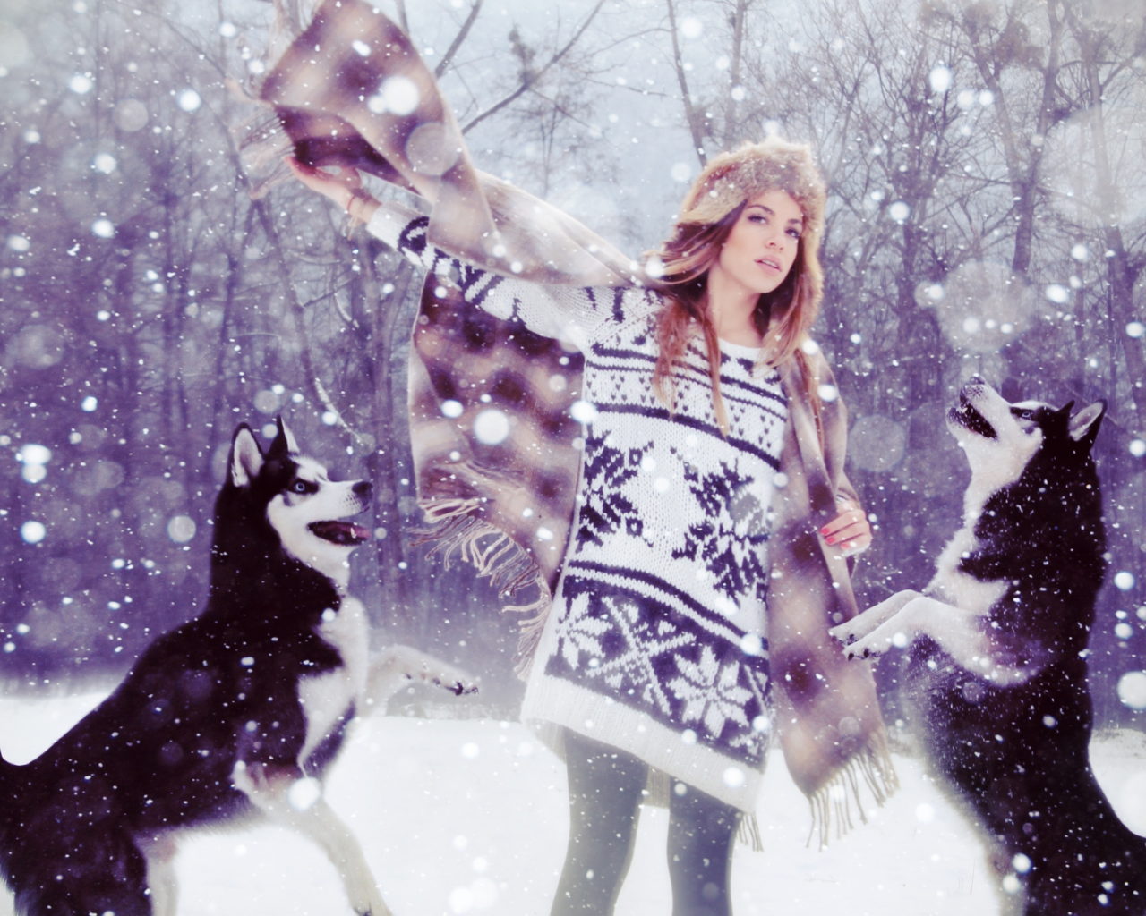 девушка, снег, собаки, свитер, лес, лайки, шапка