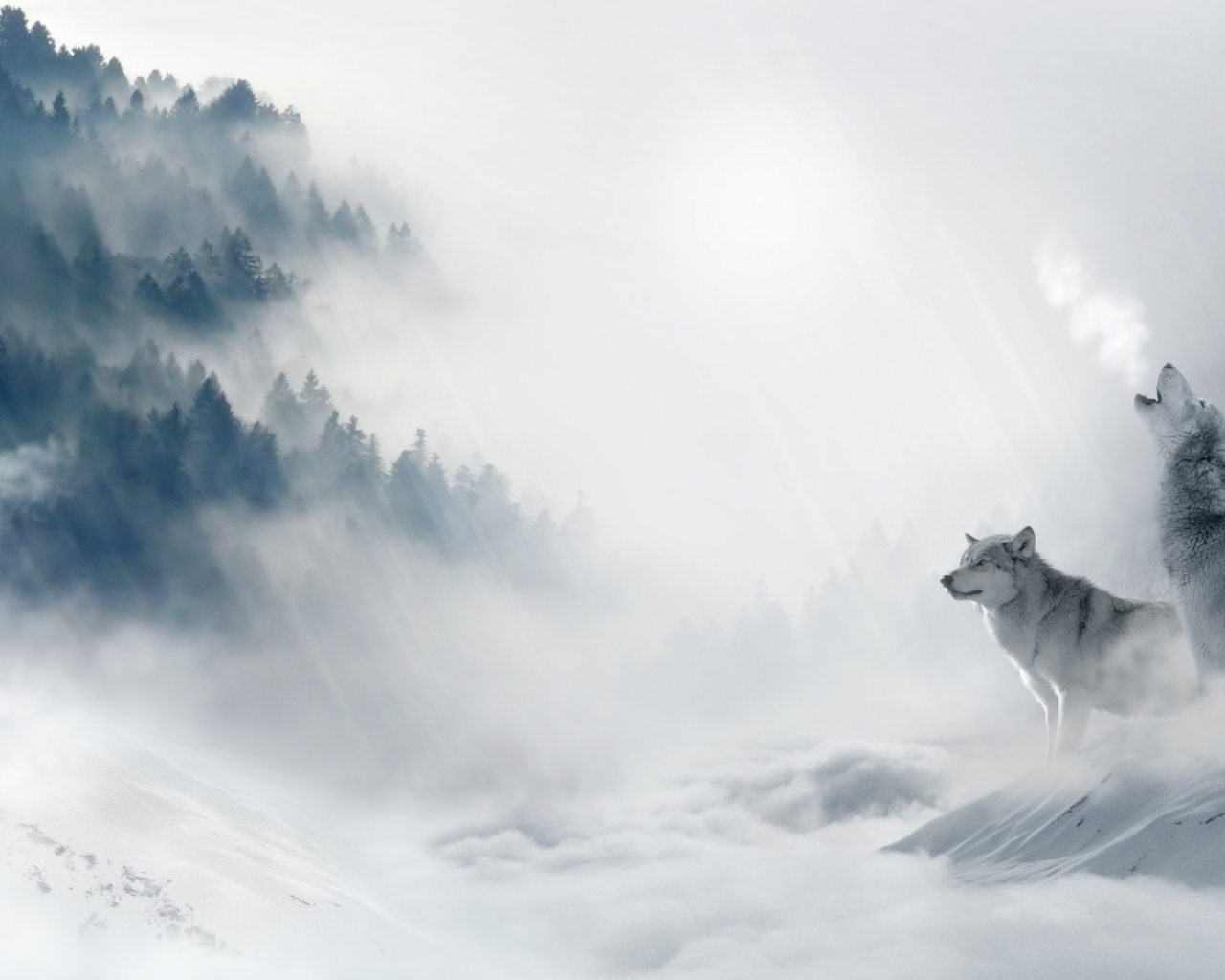 волки, олень, снег