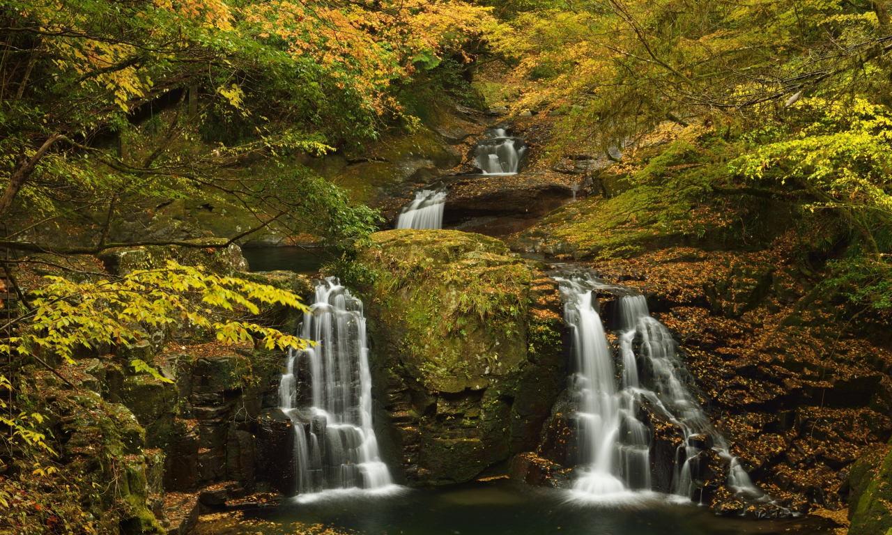 камни, осень, желтые, лес, ручей, листья, мох, кусты, деревья, водопад