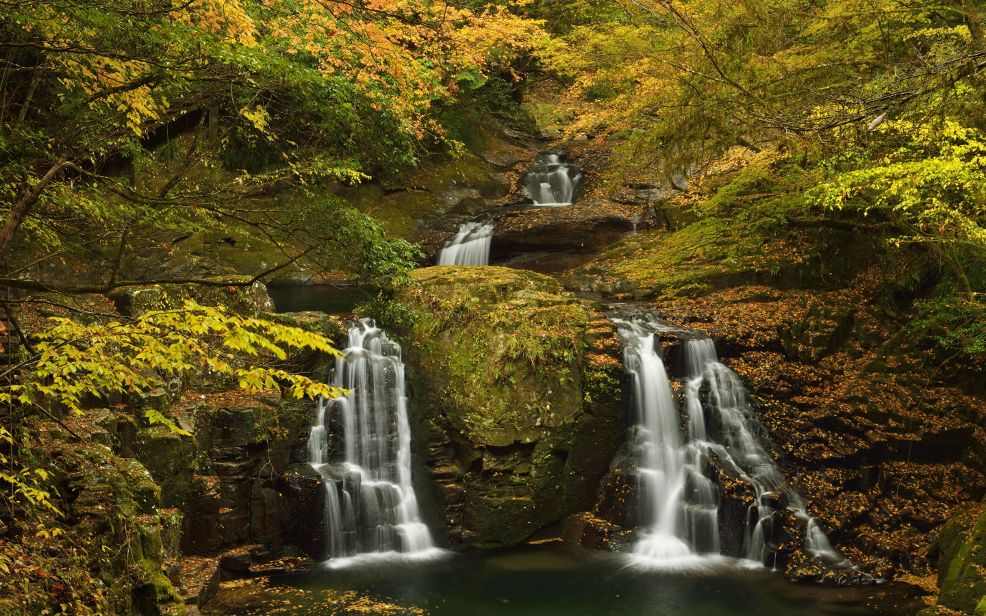камни, осень, желтые, лес, ручей, листья, мох, кусты, деревья, водопад