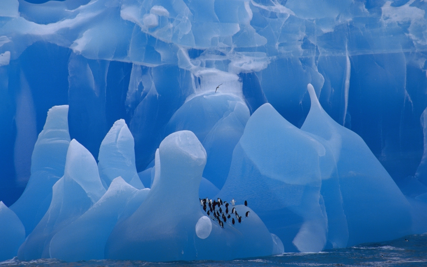айсберг, пингвины