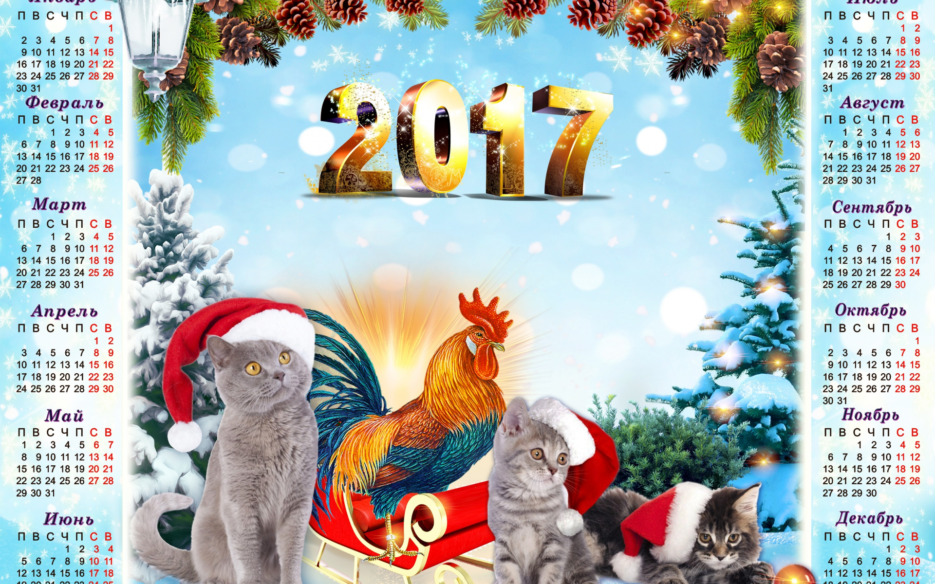 2017 год, фон, год петуха, серые, календарь, ели, голубой фон, котята