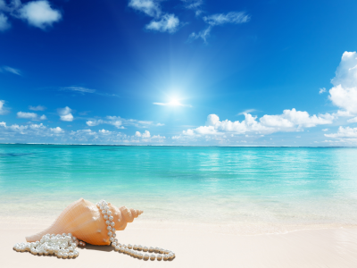 beach, sunshine, seashell, sand, sea