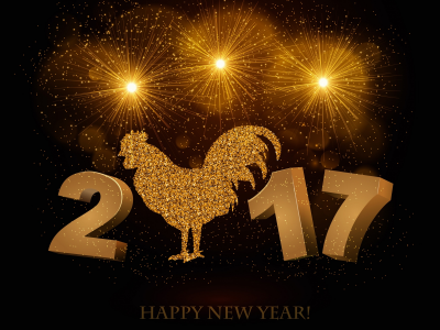 символ, птица, черный фон, 2017, новый год