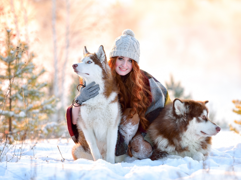 снег, рыжая, собаки, зима, улыбка, хаски, шапка, девушка, радость