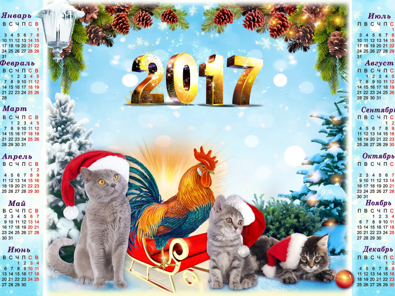 2017 год, фон, год петуха, серые, календарь, ели, голубой фон, котята