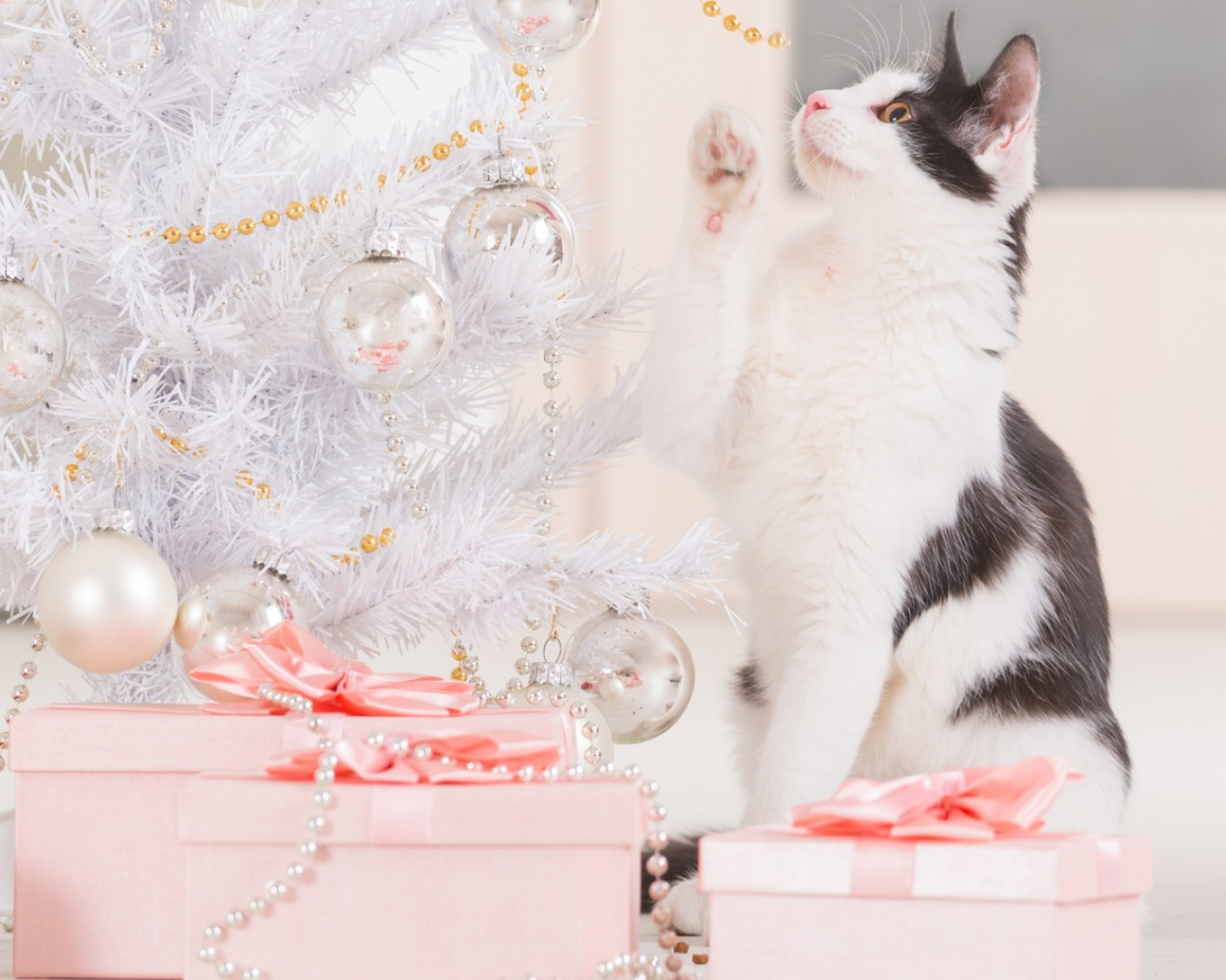 игрушки, украшение, новый год, праздник, бусы, подарки, кошка