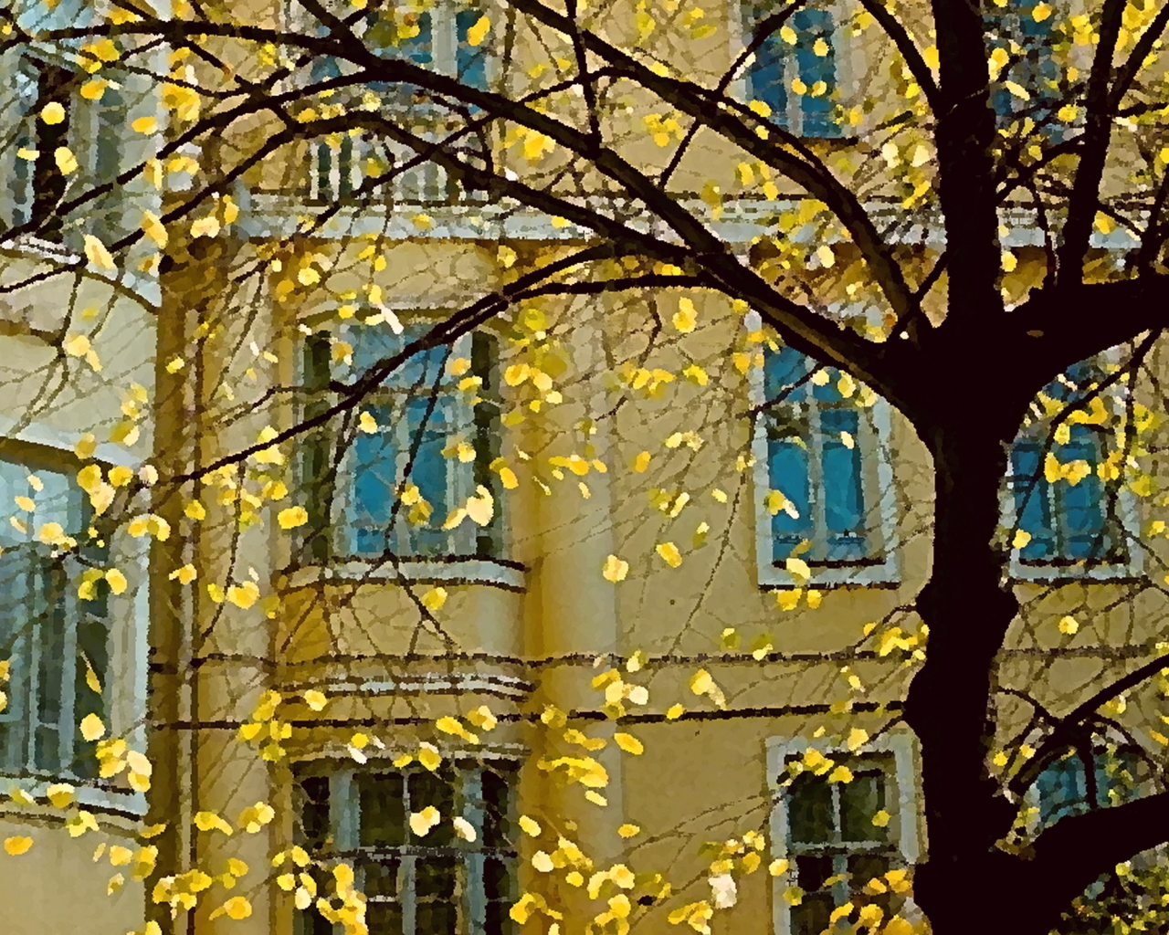 осенний дворик, листья, желтые, последнее тепло