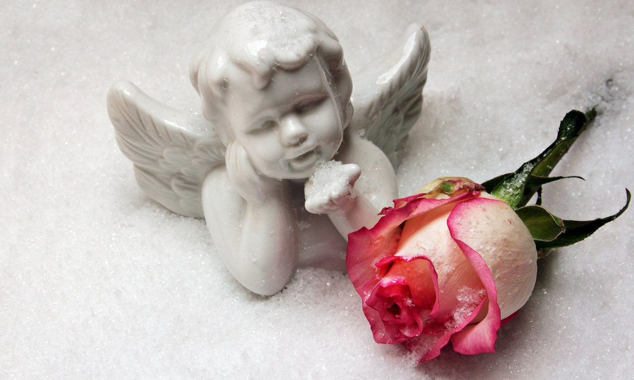 winter, romantic, rose, love, angel, snow, cupid