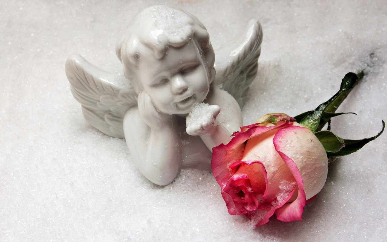 winter, romantic, rose, love, angel, snow, cupid