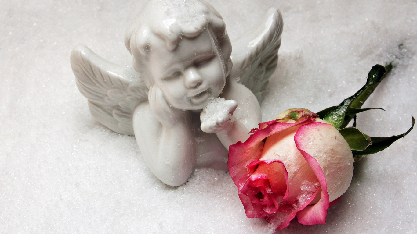 winter, romantic, rose, love, angel, snow, cupid