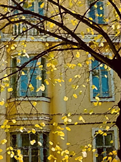 осенний дворик, листья, желтые, последнее тепло