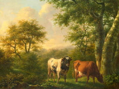 живопись, коровы