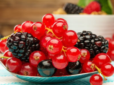 berries, ягоды, смородина, ежевика, fresh