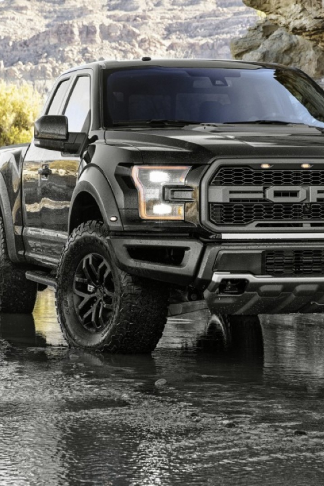 ford, черный, f150, raptor