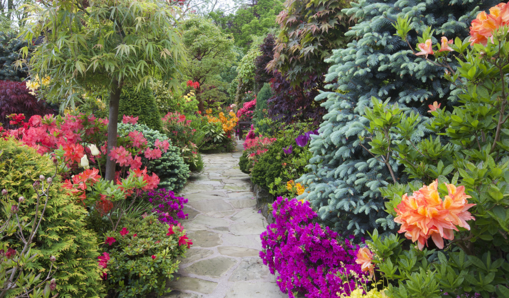 англия, сады, рододендрон, walsall garden, кусты, природа
