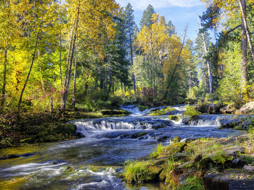 реки, водопады, леса, деревья